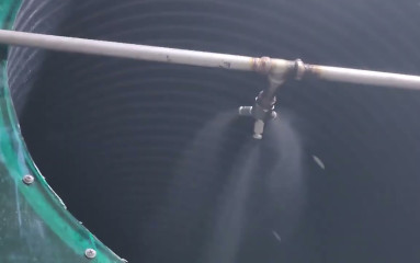 안개분무 영상_20250529-1